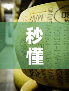 今日金价万足金价格›万足金今天金价多少 今日金价万足金价格›万足金今天金价多少