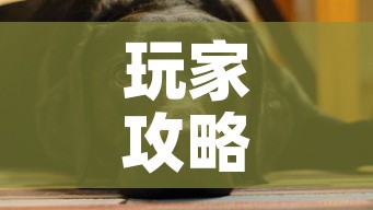玩家攻略“微信斗牛房卡如何购买”房卡获取方式