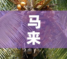 沈阳浑南区疫情通知最新—（沈阳浑南区疫情通知最新情况）