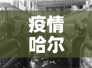疫情哈尔滨 → 哈尔滨疫倩
