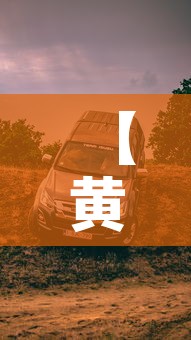 【黄色皮卡限行·皮卡限行区】