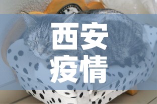 西安疫情的最新动态—（西安疫情的最新动态图）