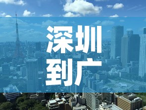 深圳到广州最新疫情政策›深圳到广州的防疫政策 深圳到广州最新疫情政策›深圳到广州的防疫政策