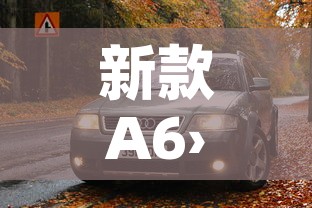 新款A6›新款a6l落地多少钱