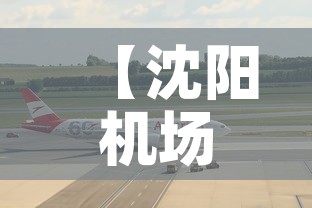 【沈阳机场新增疫情,沈阳机场最新疫情规定】
