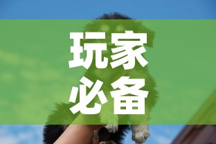 玩家必备教程“斗牛房卡牛牛房卡	”房卡使用教程