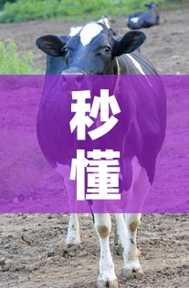 秒懂教程“微信牛牛群斗牛群”获取房卡教程-哔哩哔哩