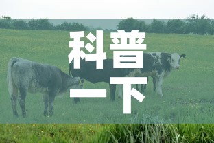 科普一下“微信牛牛群房卡怎么弄”房卡怎么购买