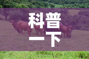 科普一下“微信牛牛群斗牛群”详细房卡教程