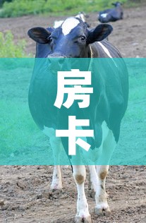 房卡必备教程“微信牛牛群斗牛群”详细房卡教程