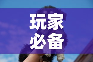 玩家必备教程“斗牛房卡牛牛房卡”购买房卡介绍