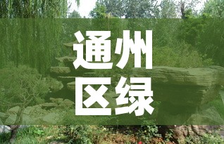 通州区绿化五金价格行情›通州绿植批发 通州区绿化五金价格行情›通州绿植批发