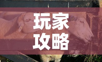 玩家攻略“微信牛牛群斗牛群”轻松获取房卡全渠道