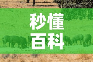 秒懂百科“微信房卡斗牛牛有挂吗”详细房卡教程
