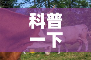 科普一下“微信牛牛群房卡怎么弄”房卡使用教程