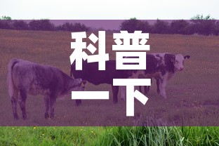 科普一下“微信牛牛群房卡怎么弄”房卡使用教程