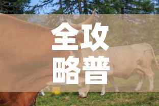 全攻略普及“微信牛牛群房间卡如何购买”详细房卡教程