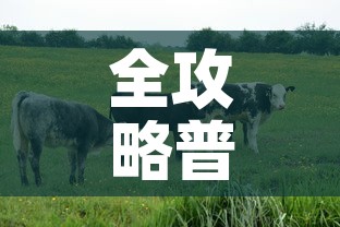 全攻略普及“微信牛牛群房间卡如何购买	”详细房卡教程
