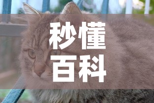 【扬州定制镁合金价格表,镁合金板材多少钱一吨】 【扬州定制镁合金价格表,镁合金板材多少钱一吨】