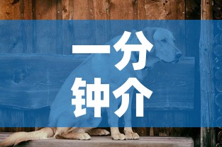 一分钟介绍使用“斗牛链接房卡怎么弄”购买房卡介绍
