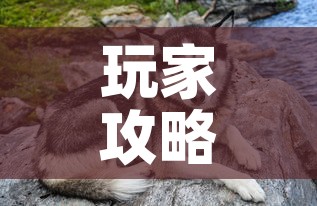 玩家攻略“购买斗牛房卡联系方式”房卡获取方式