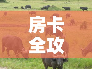 房卡全攻略“微信牛牛群斗牛群”详细房卡教程
