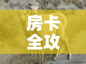 房卡全攻略“微信牛牛群斗牛群”详细房卡教程