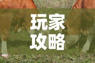 玩家攻略“微信牛牛群斗牛群	”房卡获取方式