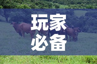 玩家必备教程“微信牛牛群斗牛群”链接房卡在哪里获取
