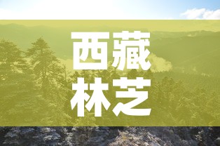 西藏林芝限行—（拉萨到林芝限速）