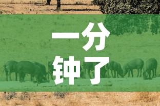 一分钟了解“斗牛房卡牛牛房卡”详细房卡教程