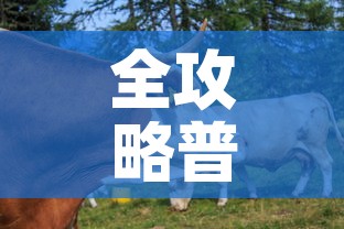 全攻略普及“开牛牛群怎么买房卡”房卡链接获取