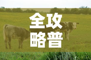 全攻略普及“开牛牛群怎么买房卡”房卡链接获取