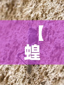【蝗虫最新疫情路径是什么,蝗虫最新疫情路径是什么样的】 【蝗虫最新疫情路径是什么,蝗虫最新疫情路径是什么样的】