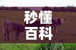 秒懂百科“微信牛牛群房卡怎么弄	”房卡使用教程