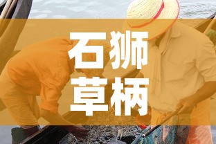 石狮草柄村最新疫情:石狮草莓采摘基地 石狮草柄村最新疫情:石狮草莓采摘基地