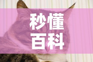 秒懂百科“斗牛房卡牛牛房卡”详细房卡怎么购买教程