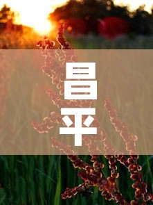昌平区绿化五金价格行情：昌平区绿化五金价格行情最新