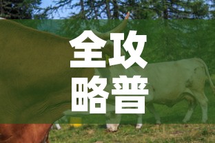 全攻略普及“微信牛牛群房卡”房卡详细充值
