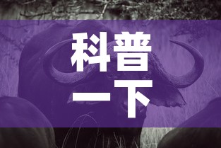 科普一下“微信牛牛群斗牛群”房卡详细充值