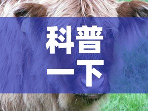 科普一下“微信牛牛群斗牛群”房卡详细充值