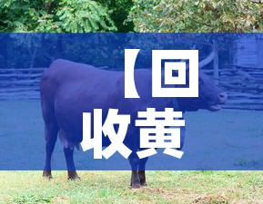 【回收黄金价格牛奢网优选,牛奢黄金回收今日价格】